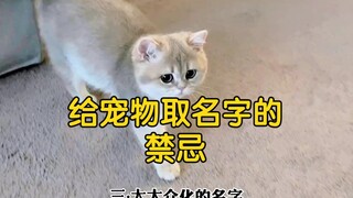 给宠物取名字的禁忌，大众化的名字带出去容易被领走！