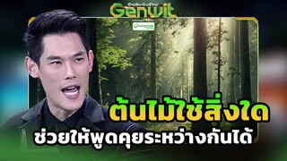 ต้นไม้ใช้สิ่งใด ช่วยให้พูดคุยระหว่างกันได้  | Genwit อัจฉริยะพันธุ์ใหม่