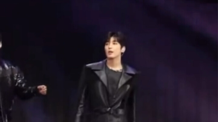 If you look at SEVENTEEN’s 2022 AAA stage through a magnifying glass…