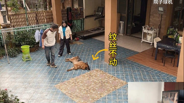 My name is A Hao. I’d like to apologize to my wife, Ms. Tong. My dog and I deceived her together. Th