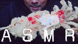 ASMR:FRIED SQUIDS (EATING SOUNDS)|COCO SAMUI ASMR#กินโชว์หมึกยักษ์ชุปแป้งทอด