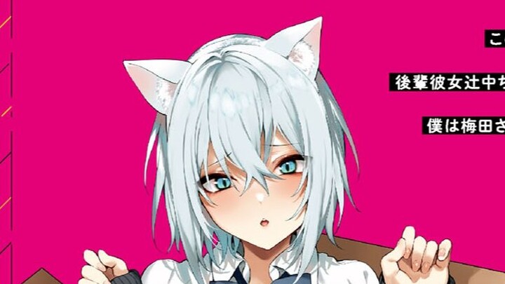 我捡到了猫一样的女孩儿