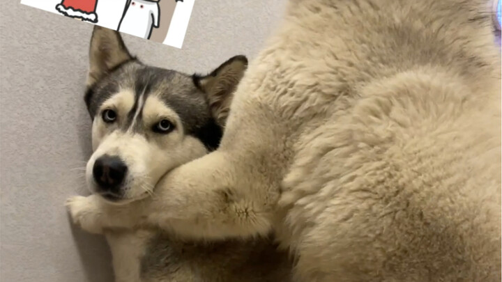 Tim penggusuran segera datang, apa yang harus aku persiapkan?