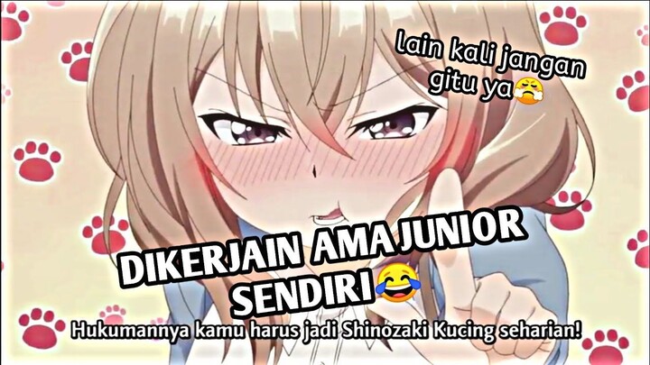 KETIKA LO JAHILIN GEBETAN LO YG LAGI MAIN KUCING²AN