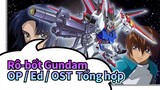 [Rô-bốt Gundam/Không phụ đề] Rô-bốt Gundam Seed/Seed Destination OP/ Ed / OST  Tổng hợp_I