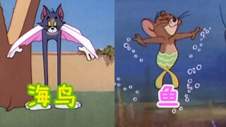 这才是《珊瑚海》原版MV