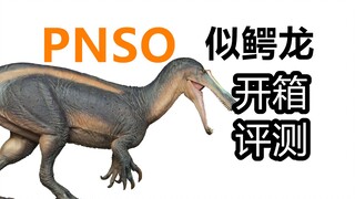 【恐龙模型】PNSO科学复原似鳄龙 开箱评测！