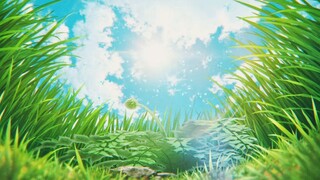 SPY X FAMILY Code White