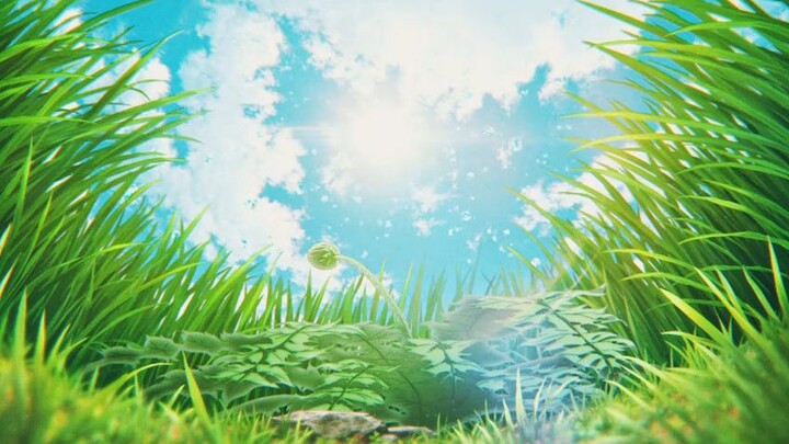 SPY X FAMILY Code White