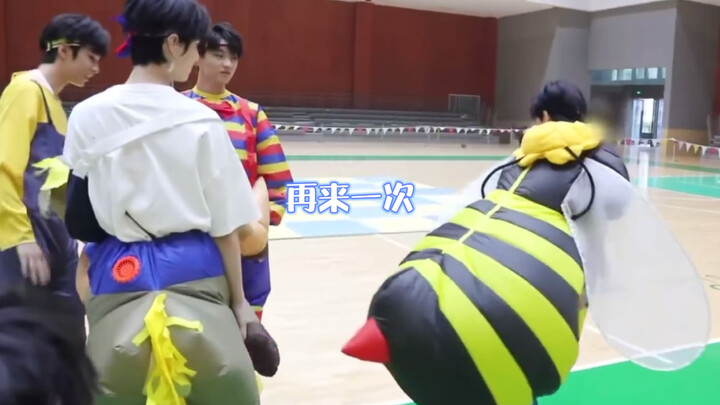 【تشانغ جينيوان】 يا إلهي، هذه النحلة الصغيرة لطيفة جدًا! 😆#