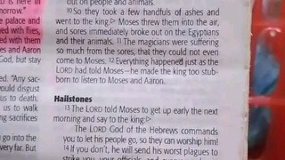 Daily Verse.                  Exodus 9:8-12