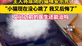 猫：你瞅瞅，活阎王又想当菩萨了？医生：当劳资是太乙真人嗦，还能重塑肉身！！哈搓搓