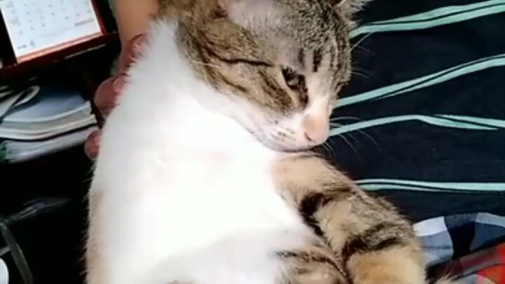 masahe ko muna boss mukhang stress eh 😂