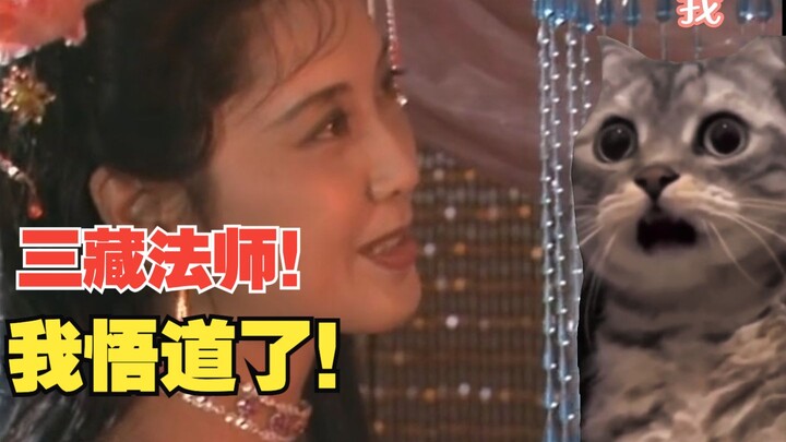 【看西游记篇】日本女生来中国留学后，价值观发生变化的故事4【猫meme】