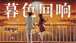 “神啊，可不可以让我感受一下” 毛利兰x工藤新一《暮色回响》