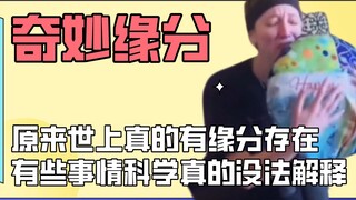 Duyên phận định sẵn, cậu bé hóa thành chim chích bông để bầu bạn với mẹ