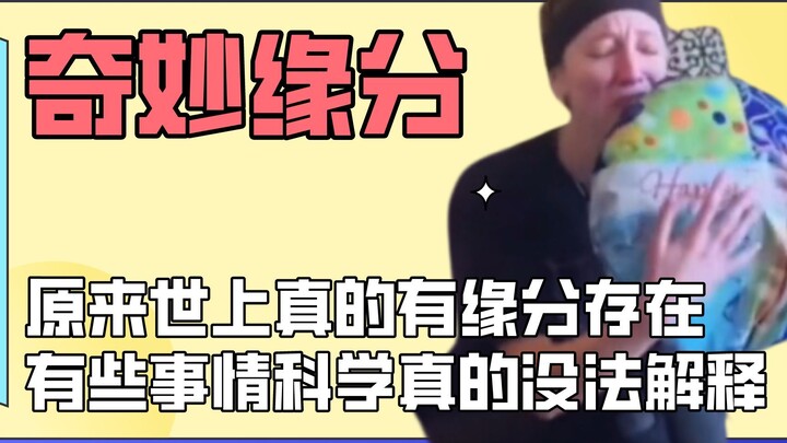 القدر يجمعنا، الصبي يتحول إلى طائر الزرزور ليرافق والدته