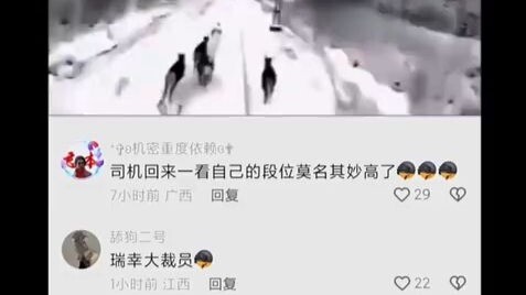 Sang sopir kembali dan melihat peringkatnya tiba-tiba naik tanpa sebab jelas.