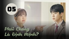 Tập 5| Phải Chăng Là Định Mệnh? - Serendipity's Embrace (Kim So Hyun, Chae Jong Hyeop,...).