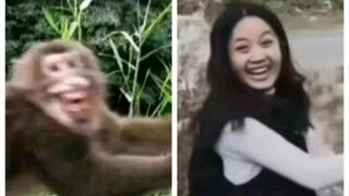Tinggal di Bengbu‖ “Agak lucu, tonton lagi”