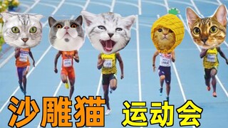 群猫沙雕运动会 竟是一场猪和猴的比赛？？