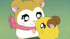 Hamtaro Episode 34 Watching Over Cute Penelope