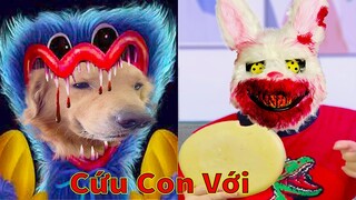 Thú Cưng TV | Tứ Mao Đại Náo #44 | Chó Golden Gâu Đần thông minh vui nhộn | Pets cute smart dog