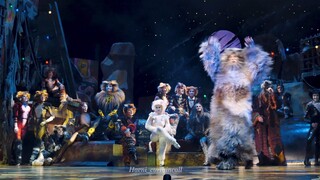 [230101] 뮤지컬 캣츠 오리지널 내한 세종시 | Musical CATS Original Tour Curtaincall in Sejong, Korea