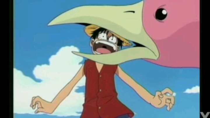 Luffy : Zoro!!!tui sẽ ăn con chim đó!!!