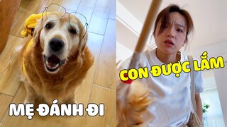 Đại Trang | Khi Mama Hiểu Nhầm Và Đánh Đại Trang Tội Nghiệp Vì Một Lý Do... 😂 Gâu Đần Official