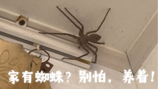 蜘蛛和蟑螂，你总得选一个吧(◐‿◑)﻿，或者你看到蜘蛛来一段霹雳舞也行～