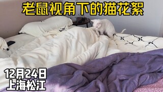 老鼠视角下的猫视频花絮