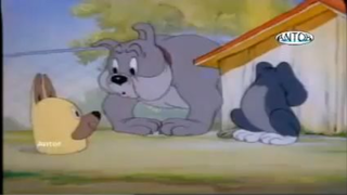 Tom and jerry in bangla ep 38