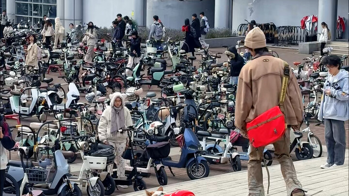 This little corgi totally makes me look good haha 😃