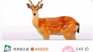 【小C祖】新作上线，快来看看！