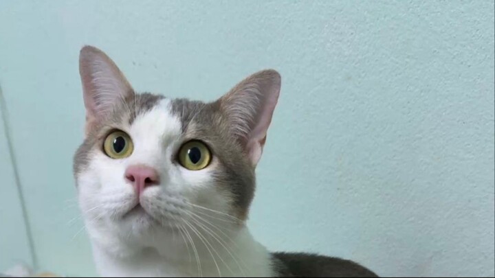 caciojciozj iojo EP เดียวจบ