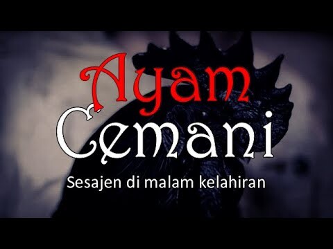 AYAM CEMANI - Sesajen Di Malam Kelahiran | Cerita Horor #498 Lapak Horor