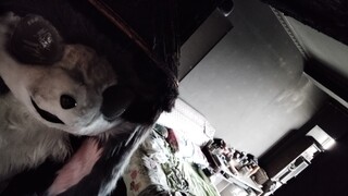 My two animal costumes were destroyed by the fire.