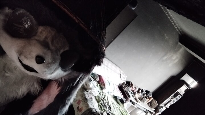 My two animal costumes were destroyed by the fire.