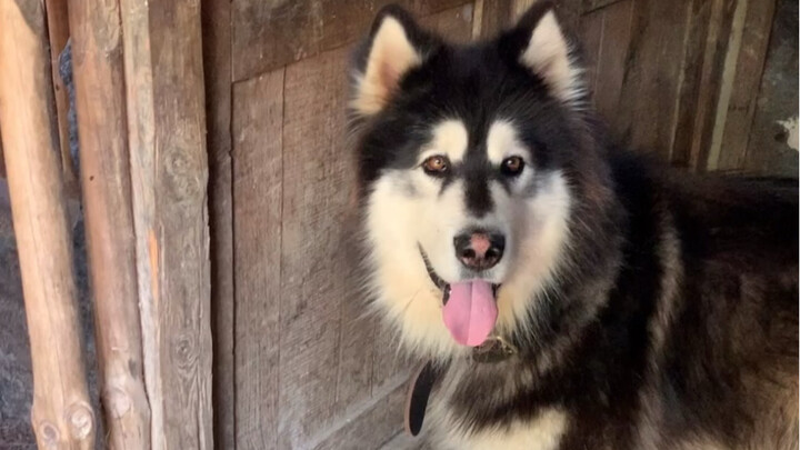 Nhà mình có thành viên mới rồi… Vui quá!