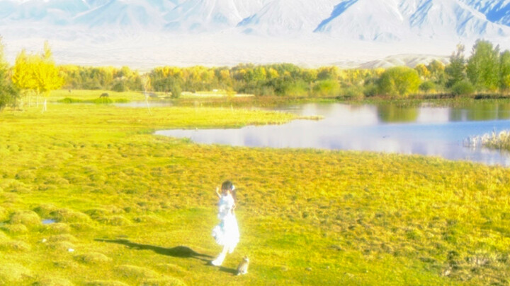"Don't go, come back to the past with me—don't let fate find you."