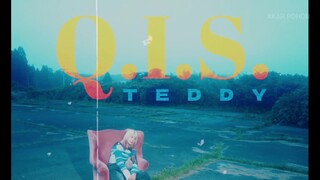 Q.I.S. - TEDDY SUB INDO