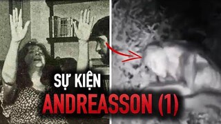 Dự Án Blue Book Tiết Lộ: Sự Kiện Người Ngoài Hành Tinh Chấn Động Nhất Lịch Sử Loài Người!