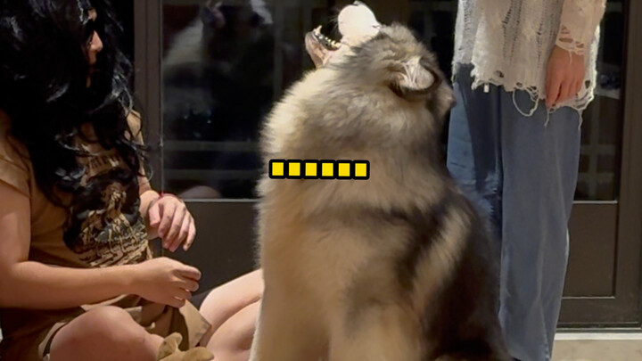 居然敢在我的眼皮子底下装妈妈？！