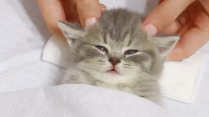 寿司小姐说最近压力太大，有点头疼，让我做个头部按摩放松。原来白富美也会有烦恼的呢～