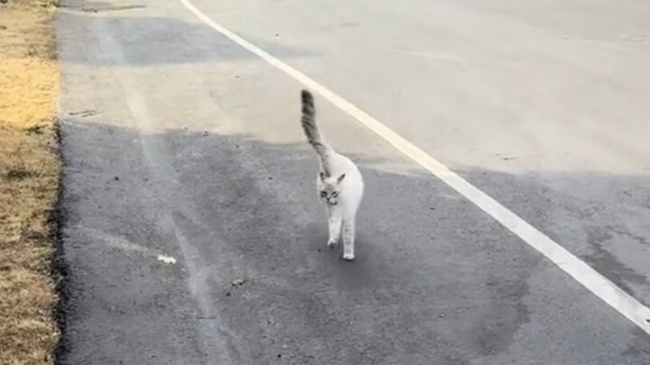 它是怎么走得乱七八糟的