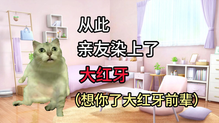 【猫meme】当我看亲友看假面骑士blade时：