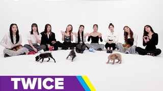 TWICE: The Puppy Interview