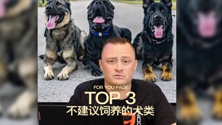专业驯狗师不推荐饲养的犬类