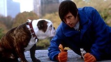 ลิตเติ้ล นิคกี้ ซาตานลูกครึ่งเทวดา Little Nicky